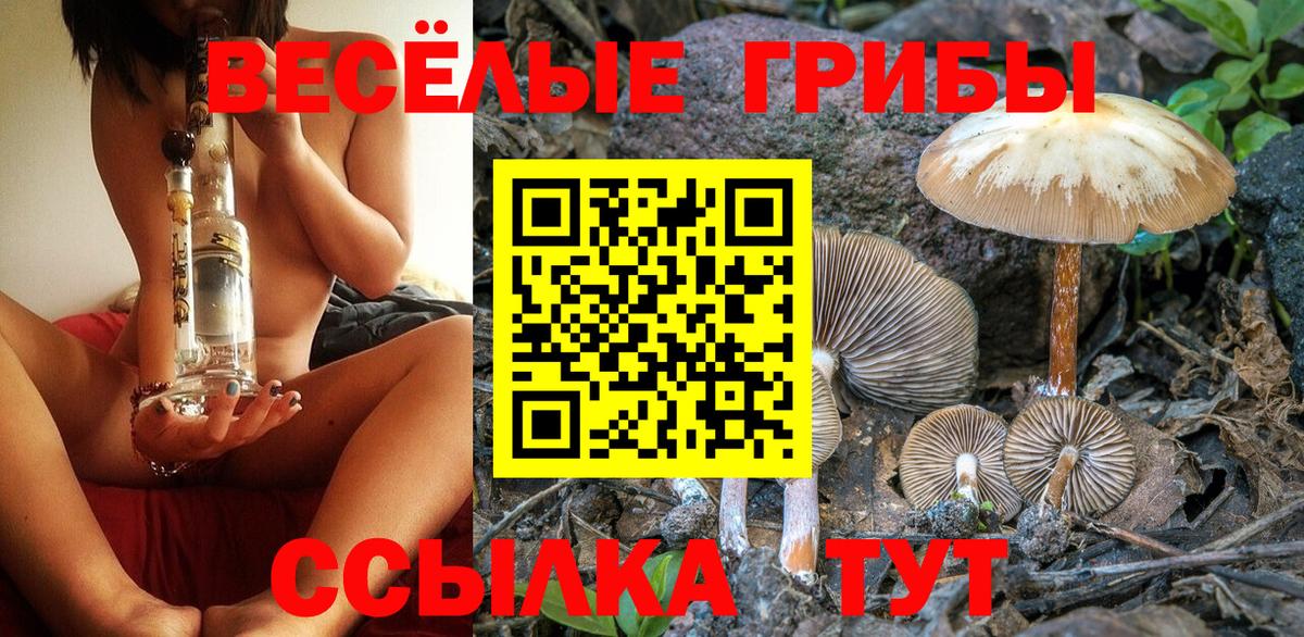 купить  цена  Галлюциногенные грибы ЛСД  Вход с VPN  Псилоцибиновые грибы MAGIC MUSHROOMS  Куйбышев 